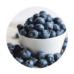 Tigela de mirtilos, imagem ilustrativa de frutas fornecida para o tópico sobre Resveratrol.